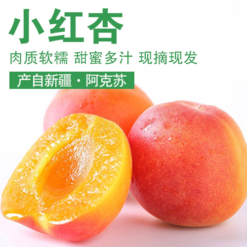 新疆阿克苏小红杏家庭装3斤（单果>13g）-顺丰包邮