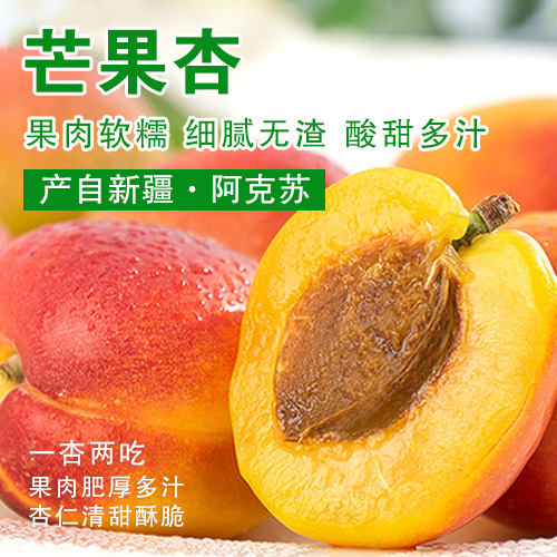  新疆阿克苏芒果杏实惠装3斤（单果30~50g，50颗左右）-包邮