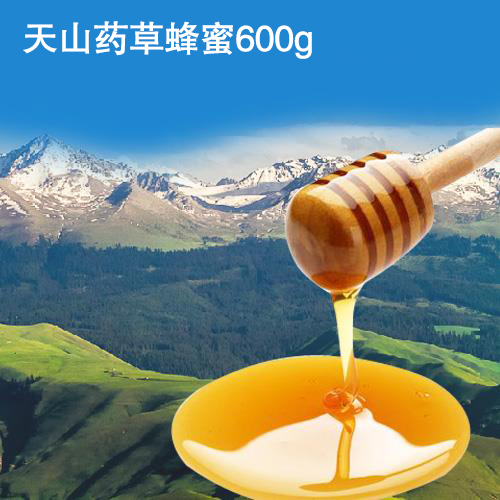 天山药草蜂蜜600g