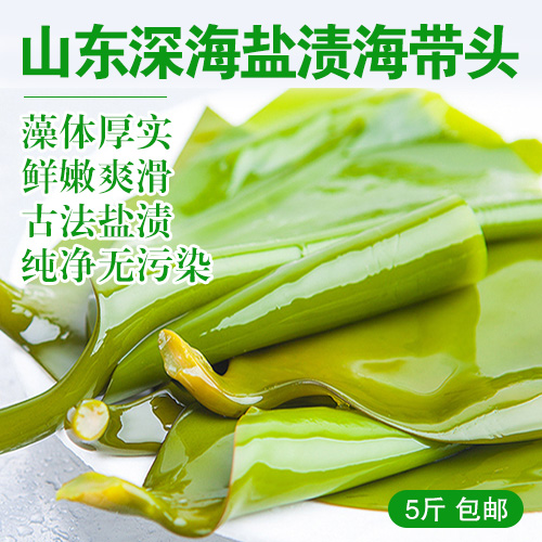 山东盐渍海带头5斤-包邮