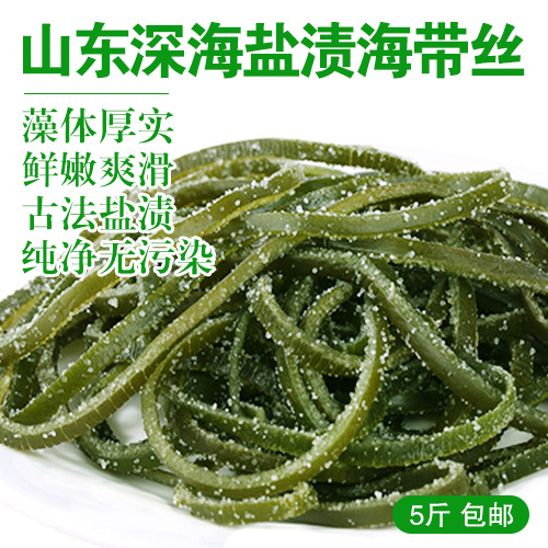 山东盐渍海带丝5斤-包邮