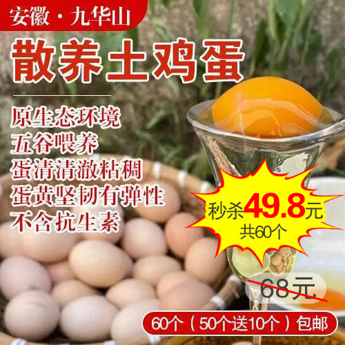 安徽九华山散养土鸡蛋60个（50个送10个）-包邮